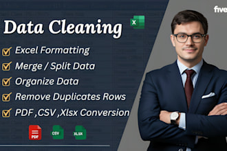 do clean, organize, merge, split, format, excel data and remove duplicates rows