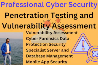 conduct penetration test on your web and deliver a comprehe