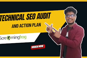 provide technical SEO audit report and action plan