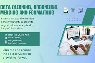 do data cleaning, formatting, and organize your excel or CSV files