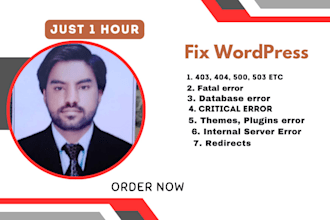 help wordpress fix issues bugs and problems