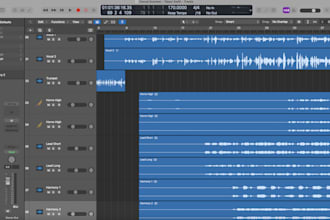 compose and produce an orchestral song for you