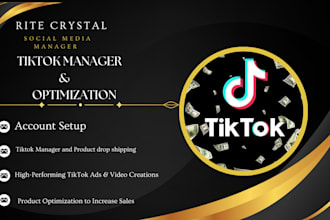 build, set up and manage tiktok ads for leads and sales to gain monetization