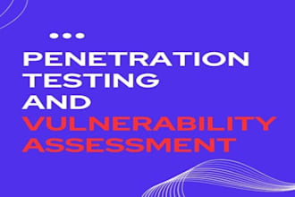 provide penetration testing and vulnerability assessment for your web,