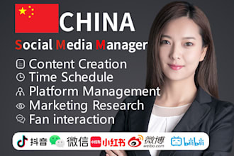 be your social media manager in the chinese market