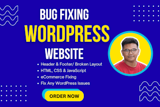 fix wordpress website, fix error, bug fix, fatal error and critical errors