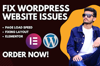 fix wordpress error , problem solving and debug issues