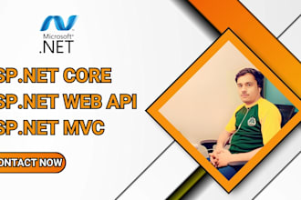 develop fully secure fast web API project in dot net core 8