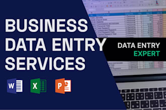 do professional business data entry fast and accurate