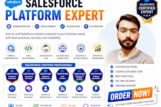 build you salesforce flow, apex, lwc, profile and automation