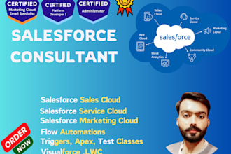 be your salesforce developer, help you in flow automations, setup, apex trigger