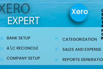do accounting and bookkeeping using xero accounting software