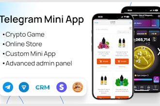 develop telegram mini app