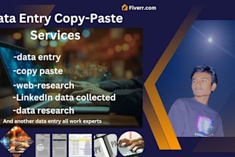 do fast and accurate data entry specialist copy paste work