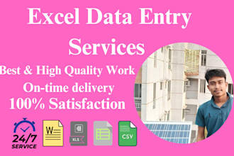 do excel data entry, copy paste, and web research services