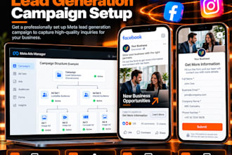 set up a structured meta lead generation ad campaign