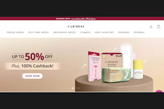 design shopify sanitary pad store heating pad tampons underwear store website