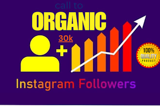 do your organic instagram followers permanent