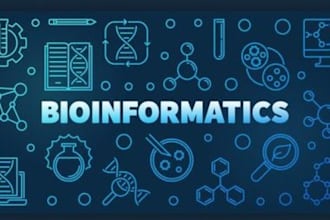 do molecular docking, MD simulation and bioinformatics analysis