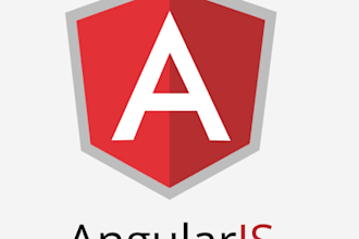 do angular web development and bug fixes