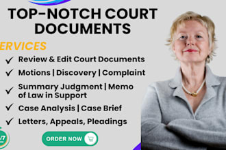 professional court document drafting or review, motions, petitions, cases