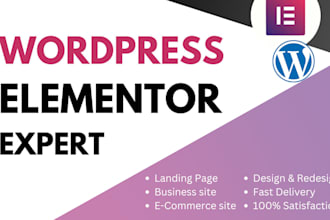 be elementor pro expert, design  custom wordpress website