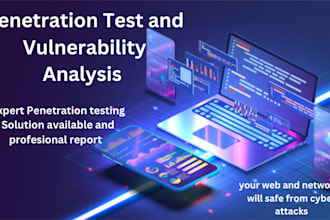 do carry out vulnerability analysis and penetration testing