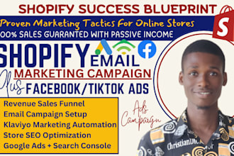 create a 7 figure shopify dropshipping store, shopify website, shopify design