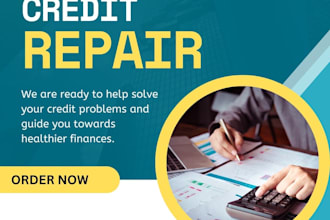 design custom credit repair, credit website, finance website,
