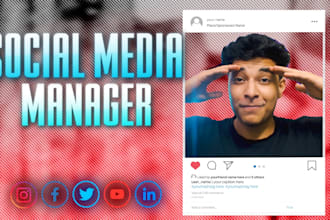 be your social media marketing manager and content creator
