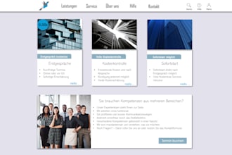 funktionelle website, kundenportal, shop, erp, cmr, cms