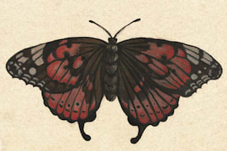 paint unique illustrations of insects and butterflies