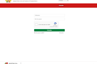do portugal visa application form automation