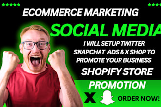 setup snapchat twitter shop facebook ads sales linkedin promotion shopify store