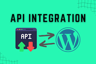 do api integration in wordpress