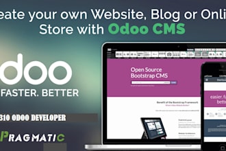 setup and configure odoo 17, 16, 18 do customization and creation of new modules