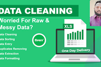 excel data cleaning and formatting