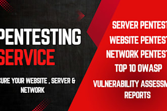 do penetration test on your website and provide detailed report