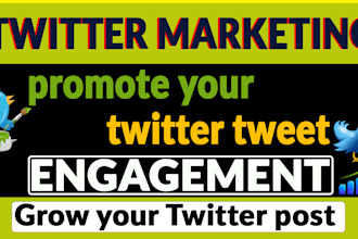 do twitter marketing, promotion for organic growth