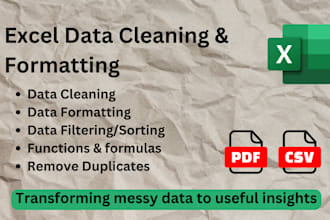 sort, clean, organize, and format your excel or CSV data