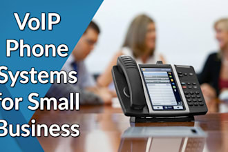 provide a dialer with a did number for you or your business