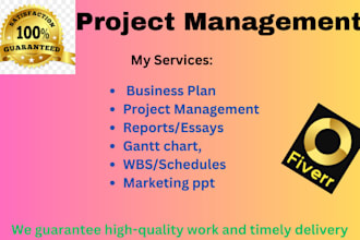 create business plan, project management, reports, gantt chart, wbs, schedules