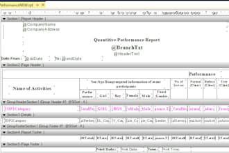 design crystal report, asp application for your business
