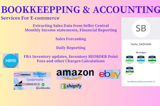 provide expert ecommerce bookkeeping and accounting services