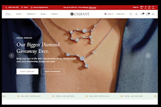 design luxury necklace shopify store earring website jewelry dropshipping store