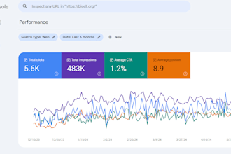 perform monthly SEO services to boost your website ranking