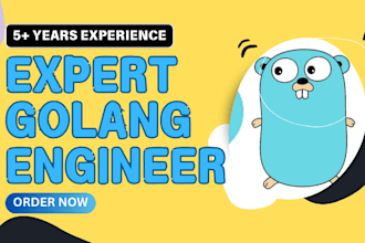 develop, fix your project or rest apis in golang, golang developer