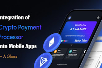 setup high risk payment crypto payment API integrate and payment issue restore
