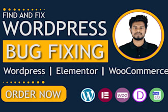 fix wordpress bugs, critical issues, CSS and responsive issues