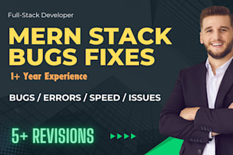 fix bugs, integrate apis and optimize performance in your web app